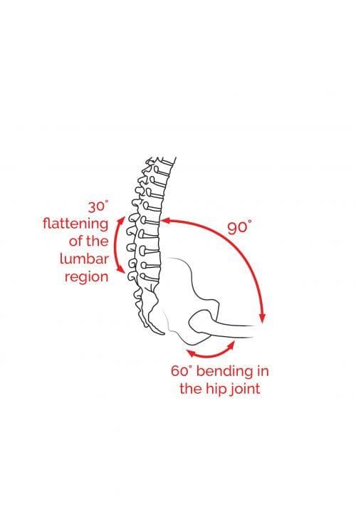 Diagram showing a 90-degree hip angle and 30-degree flattening of the lumbar region in traditional sitting